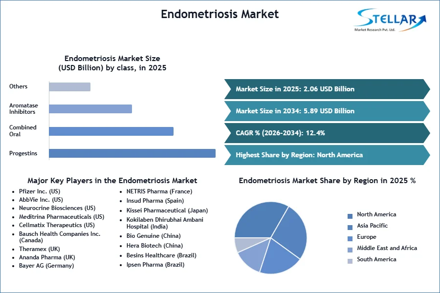 Endometriosis-Market-SMR-Snapshot