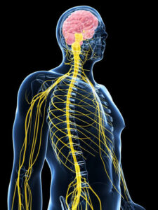 Nerve Alive
