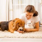 Dog Care New Orleans