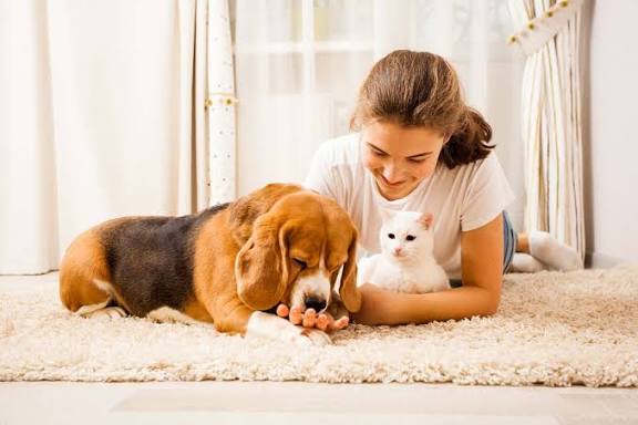 Dog Care New Orleans