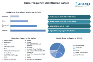Radio-Frequency-Identification-Market-SMR-Snapshot