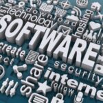 Software Market