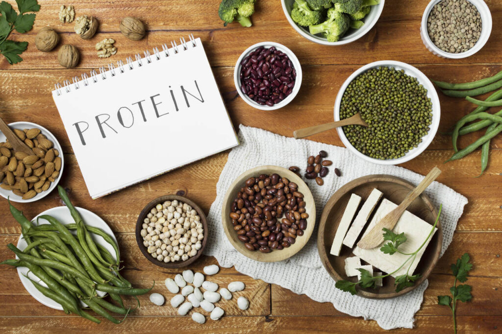 The Growing Role of Protein Ingredients in Next-Generation Food Products