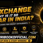 Sky Exchange makes online sports access simple and convenient