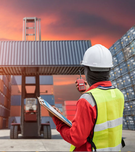 customs clearance software solution,customs clearance software solutions