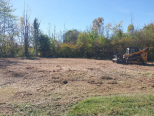 brush clearing service near me