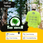 stump grinding