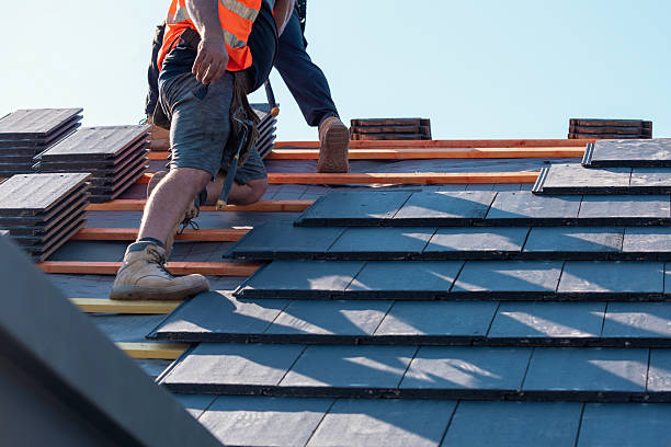 Shingle Roofing