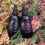 best pine pollen tincture
