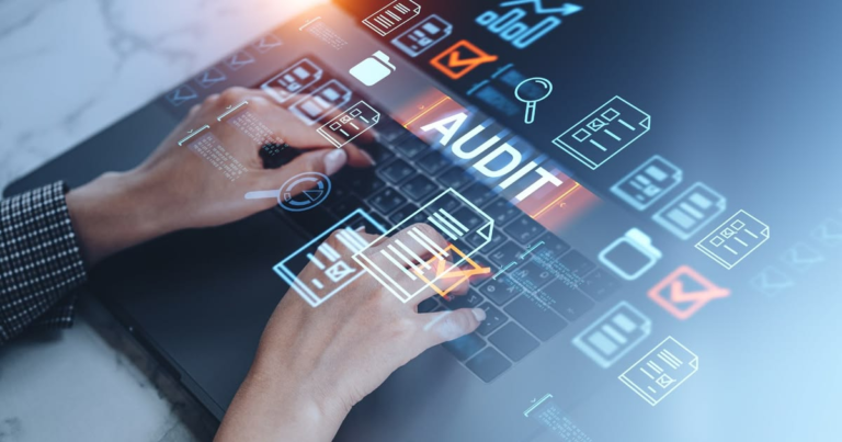 audit website