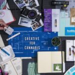 Cannabis Design Agencies