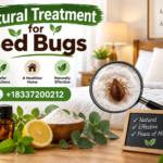 Bed Bugs
