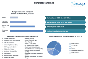 Fungicides-Market-SMR-Snapshot-(1) (1)