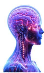 Genius Brain Signal Review