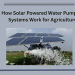 How Solar Powered Water Pumping Systems Work for Agriculture