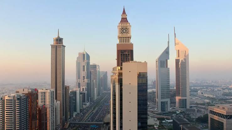 How to Renew and Update Your Dubai Customs Code Online