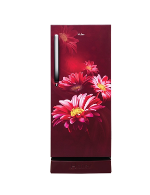 Frost Free Single Door Fridge