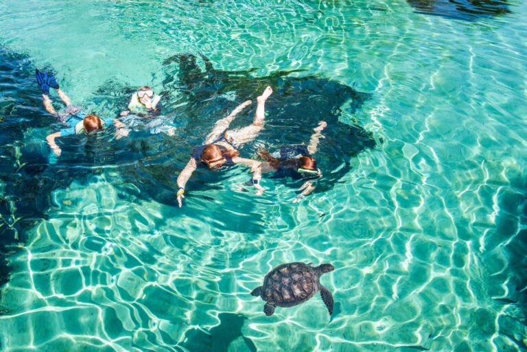 Lagoons-Aquatic-Adventures-20220708094401