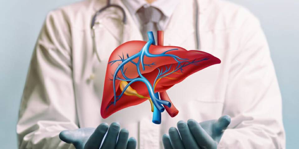 best liver transplant doctor in india
