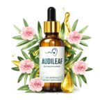 AudiLeaf