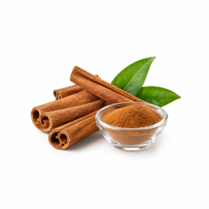 Cinnamon Bark Extract powder and cinnamon sticks for botanical ingredient applications.