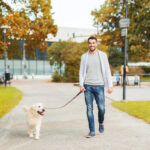 Dog Walking