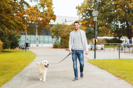 Dog Walking