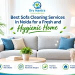 Sofa Cleaning Services in Noida