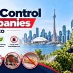 Top 7 Pest Control Companies in Toronto Pros and Cons for 2026