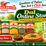 Vibrant Dal Online Store Promotion