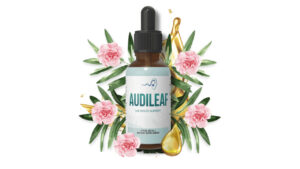 AudiLeaf reviews
