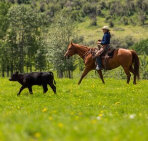 ranch financing Alberta