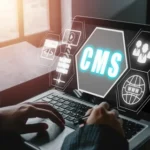 CMS development services