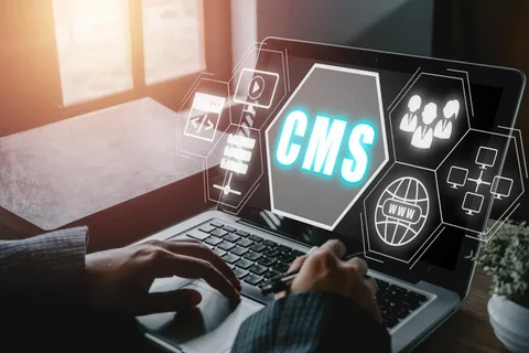 CMS development services