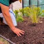 Lawn maintenance Company Grapevine