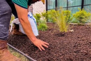 Lawn maintenance Company Grapevine
