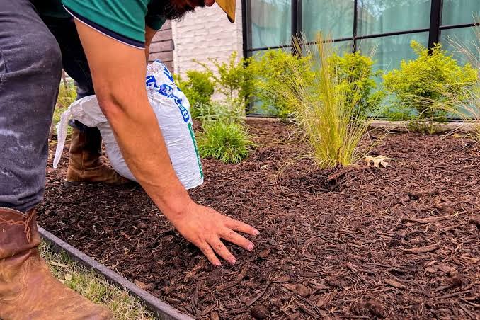 Lawn maintenance Company Grapevine