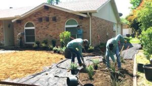 modern landscape design austin tx