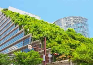 img-green-building